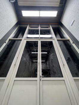 Pennavaria & Lanzinger